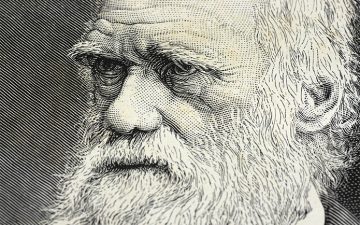 Detail of a portrait of Charles Darwin with selective focus on the eyes.